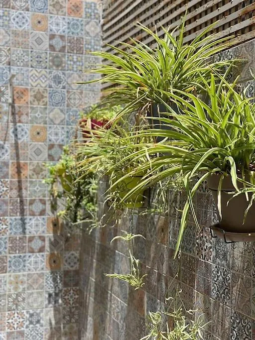 Le Nid Dore Marrakesh Apartment